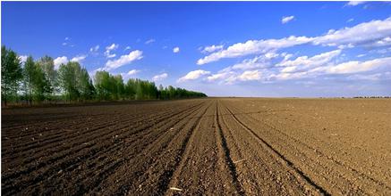 胡振琪谈土地复垦与土壤污染修复｜专业视角全攻略