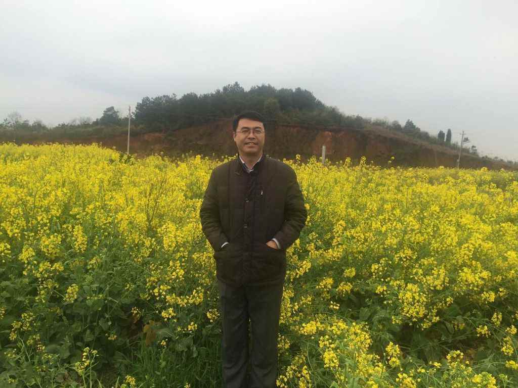 堆肥让废弃物回归土地｜有机废物资源化利用全攻略